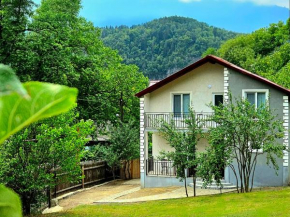 Cottage Timotea